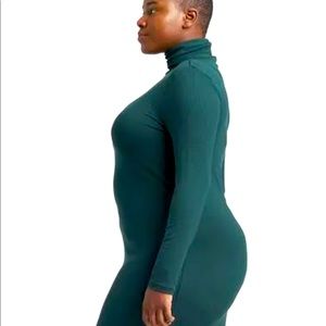 UNIVERSAL STANDARD Long Sleeve Turtleneck Dress